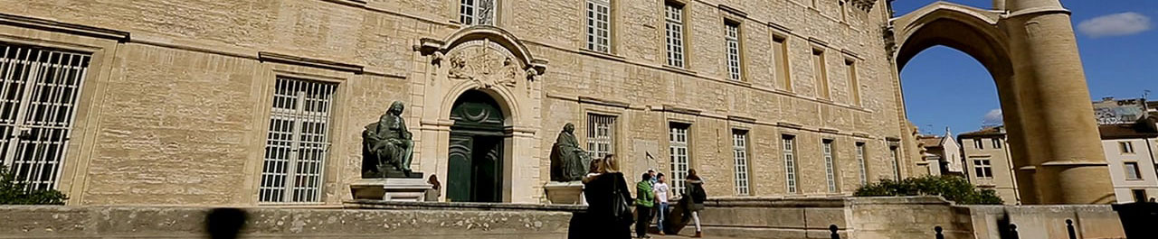Study in Université Montpellier 1 with Scholarship