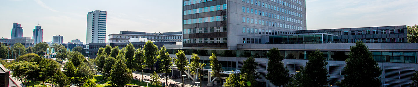 Study in Rotterdam School of Management, Erasmus University with Scholarship
