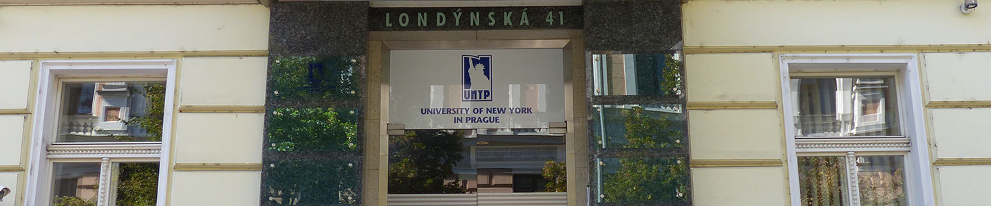 Study in University of New York with Scholarship