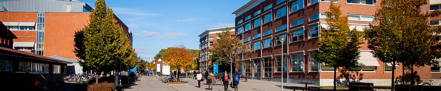 Study in Linköping University with Scholarship