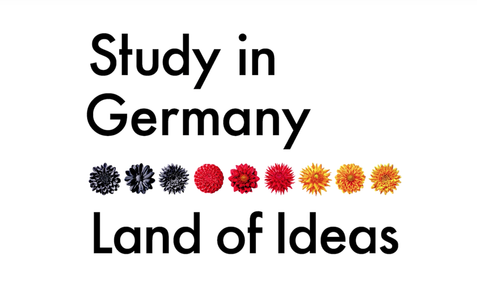 Infinite Possibilities: The German Higher Education System