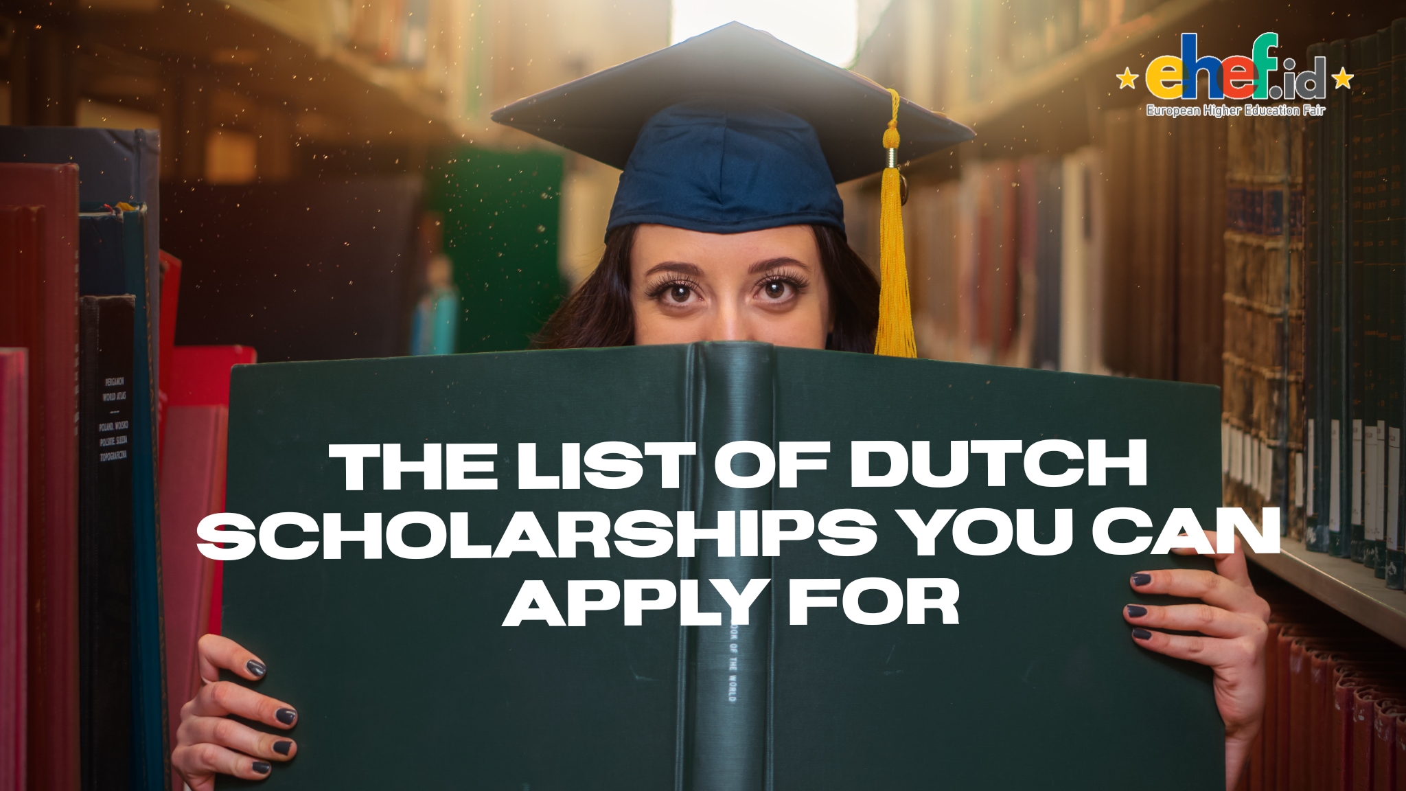 The List of Dutch Scholarships You Can Apply To