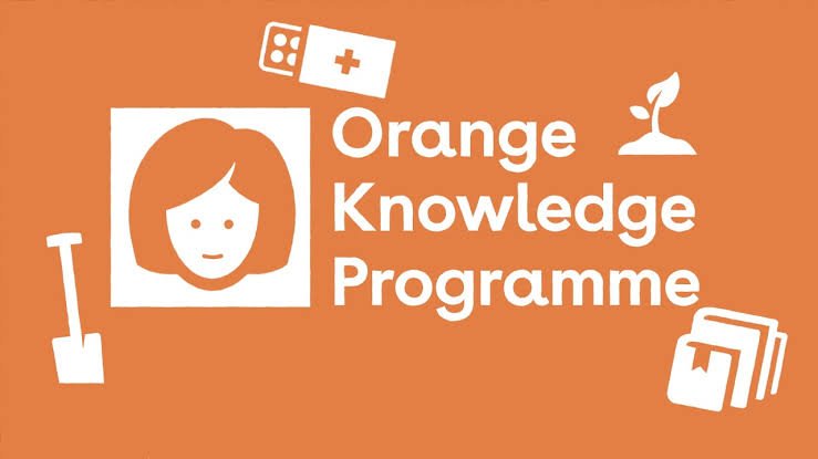 Orange Knowledge Programme - Individual Scholarship